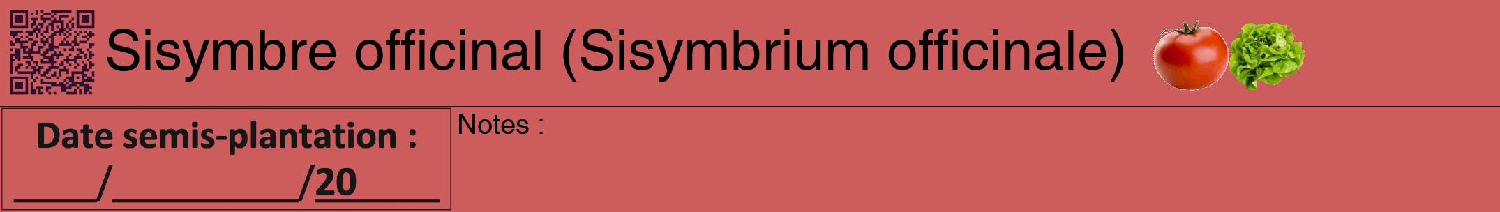 Étiquette de : Sisymbrium officinale - format a - style noire35hel avec qrcode et comestibilité simplifiée
