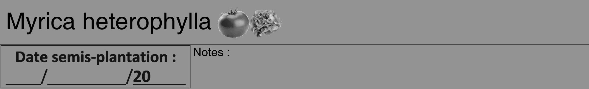 Étiquette de : Myrica heterophylla - format a - style noire44hel avec comestibilité simplifiée