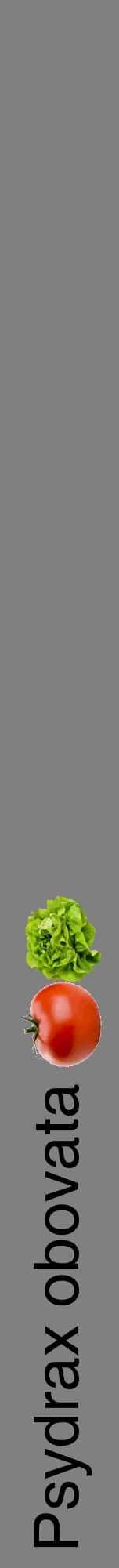 Étiquette de : Psydrax obovata - format a - style noire57hel avec comestibilité simplifiée