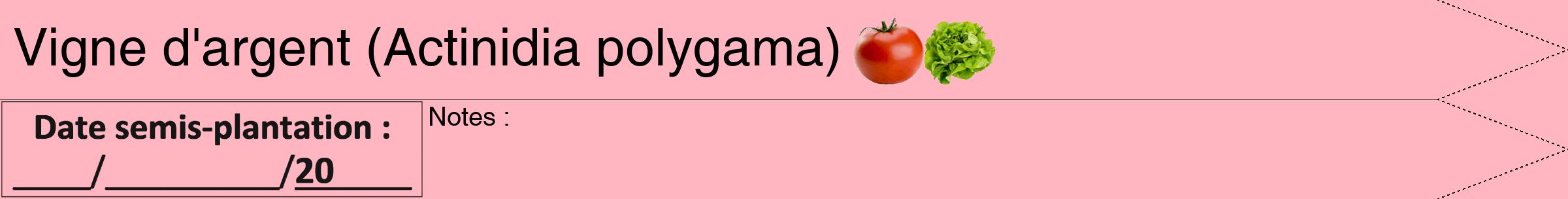 Étiquette de : Actinidia polygama - format b - style noire41hel avec comestibilité simplifiée