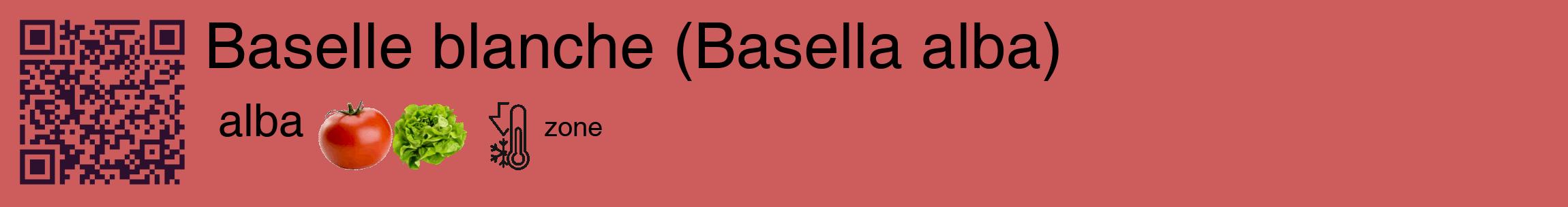 Étiquette de : Basella alba alba - format c - style noire35_basique_basiquehel avec qrcode et comestibilité simplifiée