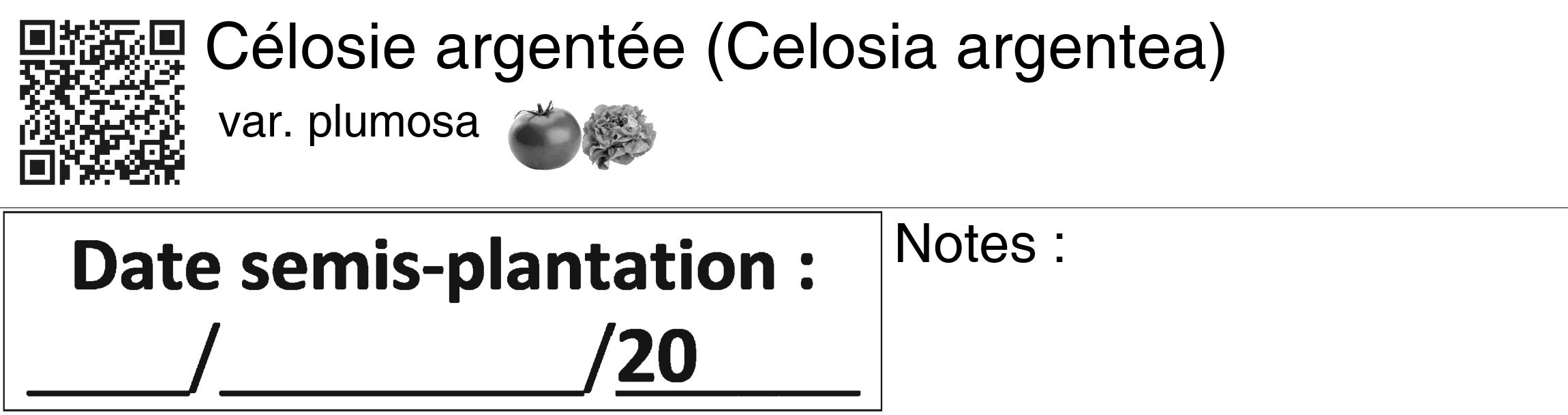 Étiquette de : Celosia argentea var. plumosa - format c - style noire60_basiquegrrvhel avec qrcode et comestibilité simplifiée
