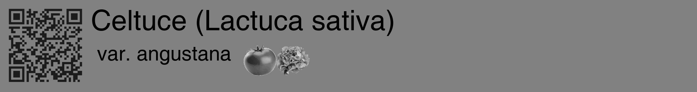 Étiquette de : Lactuca sativa var. angustana - format c - style noire50_basique_basiquehel avec qrcode et comestibilité simplifiée