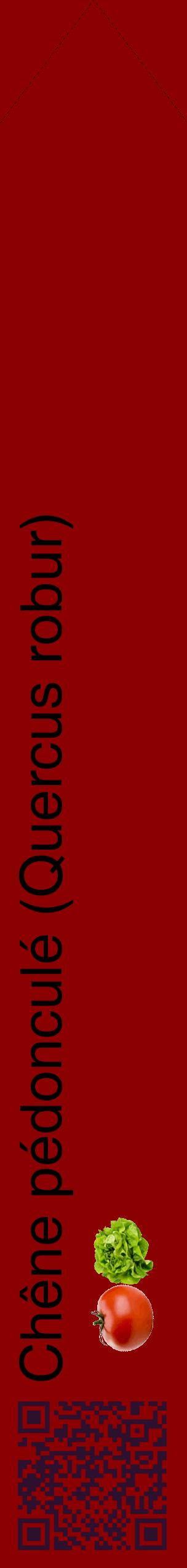 Étiquette de : Quercus robur - format c - style noire34_simplehel avec qrcode et comestibilité simplifiée