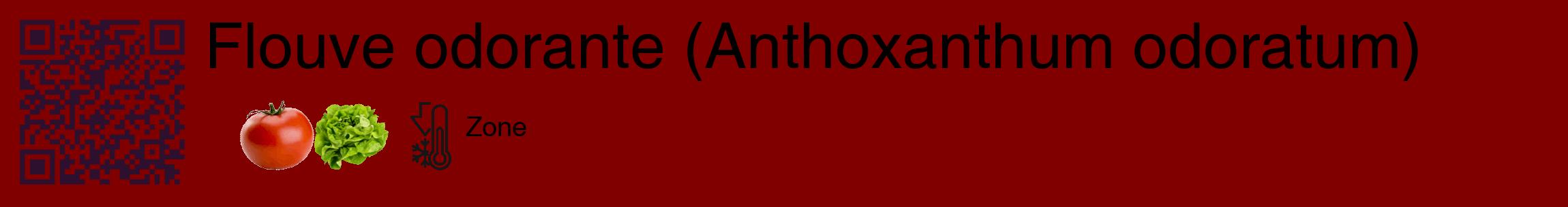 Étiquette de : Anthoxanthum odoratum - format c - style noire29_basique_basiquehel avec qrcode et comestibilité simplifiée