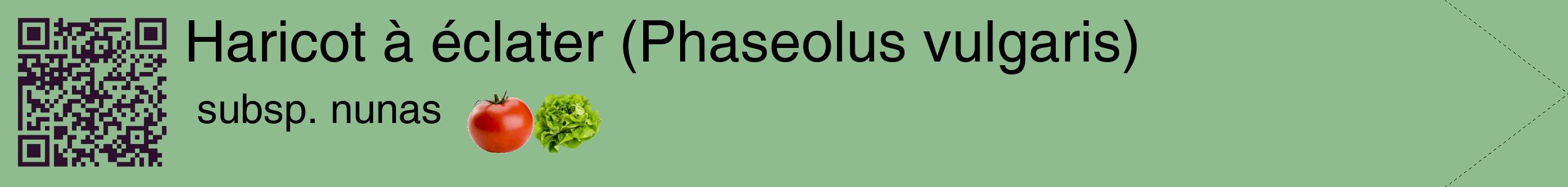 Étiquette de : Phaseolus vulgaris subsp. nunas - format c - style noire13simple_simple_simplehel avec qrcode et comestibilité simplifiée