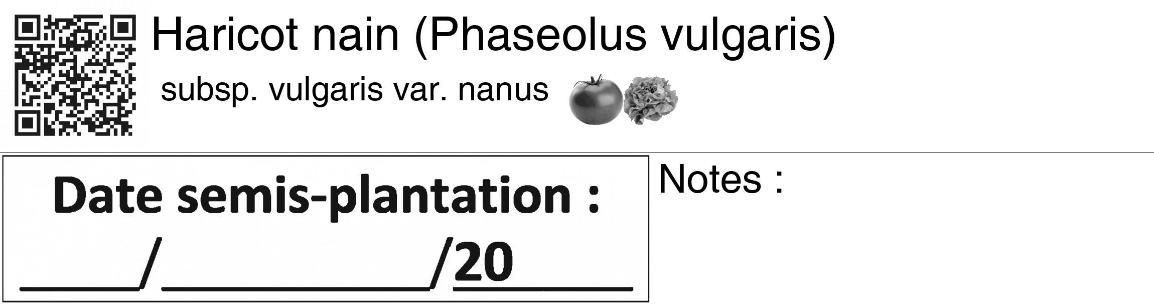 Étiquette de : Phaseolus vulgaris subsp. vulgaris var. nanus - format c - style noire60_basiquegrrvhel avec qrcode et comestibilité simplifiée