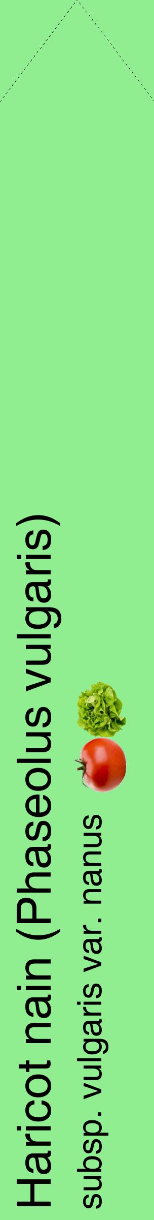 Étiquette de : Phaseolus vulgaris subsp. vulgaris var. nanus - format c - style noire15_simplehel avec comestibilité simplifiée