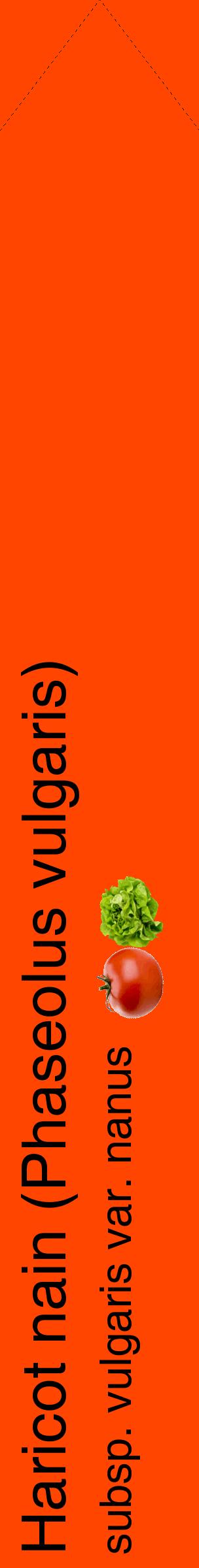 Étiquette de : Phaseolus vulgaris subsp. vulgaris var. nanus - format c - style noire26_simplehel avec comestibilité simplifiée