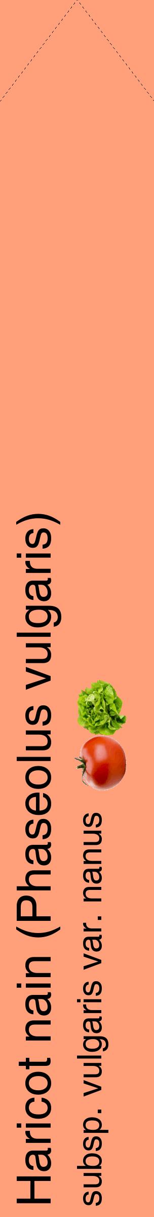 Étiquette de : Phaseolus vulgaris subsp. vulgaris var. nanus - format c - style noire39_simplehel avec comestibilité simplifiée