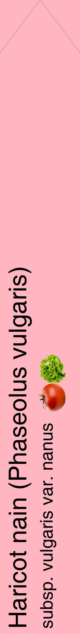 Étiquette de : Phaseolus vulgaris subsp. vulgaris var. nanus - format c - style noire41_simplehel avec comestibilité simplifiée