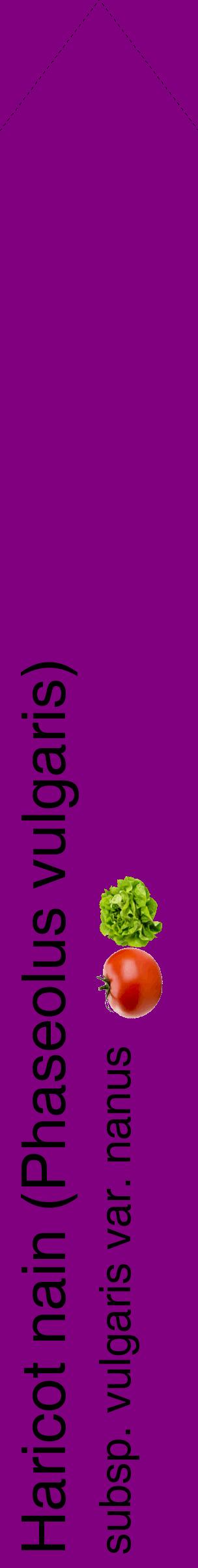 Étiquette de : Phaseolus vulgaris subsp. vulgaris var. nanus - format c - style noire46_simplehel avec comestibilité simplifiée