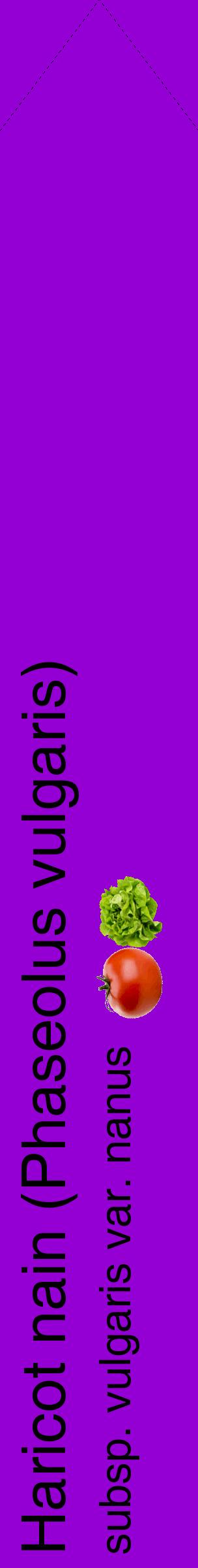 Étiquette de : Phaseolus vulgaris subsp. vulgaris var. nanus - format c - style noire48_simplehel avec comestibilité simplifiée