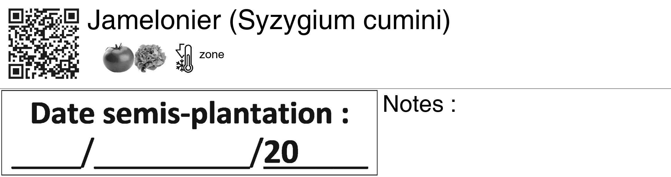 Étiquette de : Syzygium cumini - format c - style noire60_basiquegrrvhel avec qrcode et comestibilité simplifiée