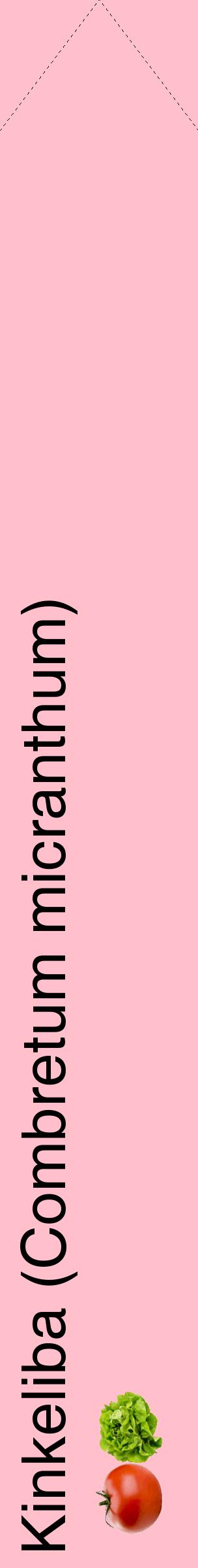 Étiquette de : Combretum micranthum - format c - style noire40_simplehel avec comestibilité simplifiée