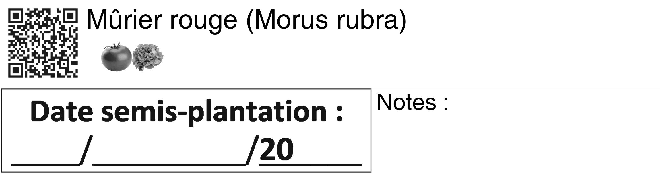 Étiquette de : Morus rubra - format c - style noire60_basiquegrrvhel avec qrcode et comestibilité simplifiée