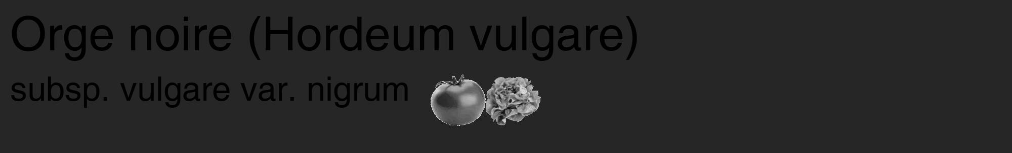 Étiquette de : Hordeum vulgare subsp. vulgare var. nigrum - format c - style noire29_basique_basiquehel avec comestibilité simplifiée