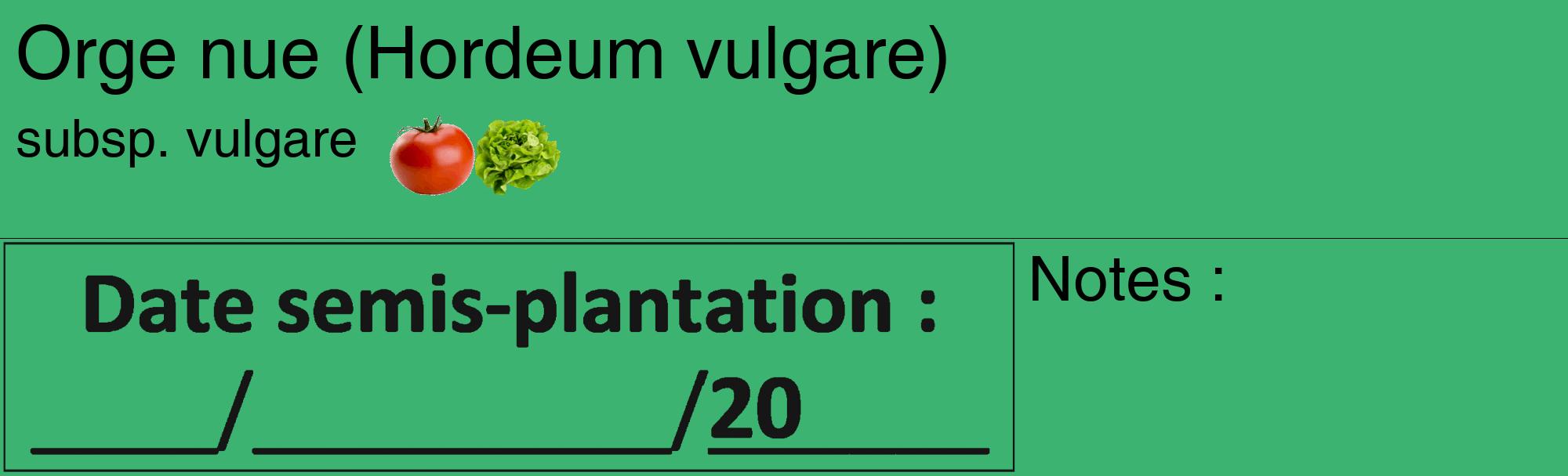 Étiquette de : Hordeum vulgare subsp. vulgare - format c - style noire12_basique_basiquehel avec comestibilité simplifiée