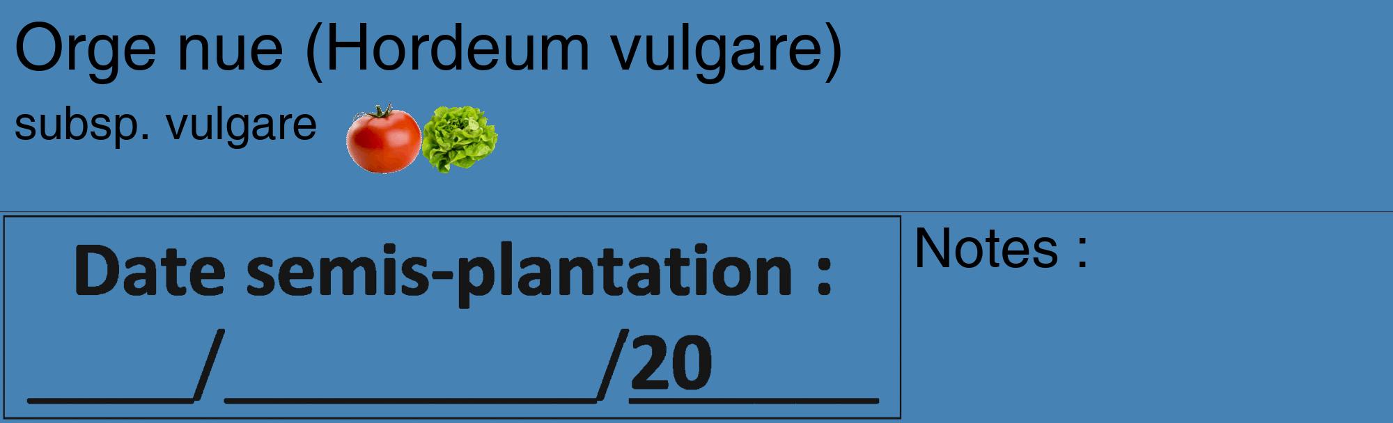 Étiquette de : Hordeum vulgare subsp. vulgare - format c - style noire5_basique_basiquehel avec comestibilité simplifiée
