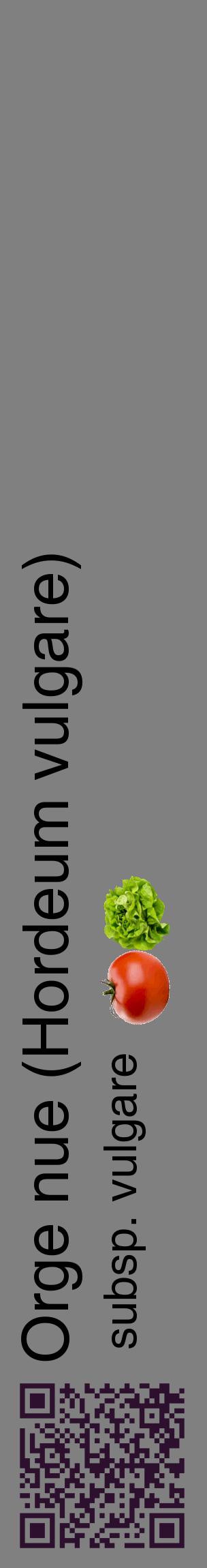 Étiquette de : Hordeum vulgare subsp. vulgare - format c - style noire57_basiquehel avec qrcode et comestibilité simplifiée