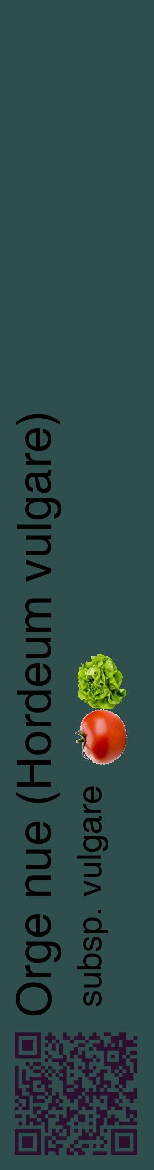 Étiquette de : Hordeum vulgare subsp. vulgare - format c - style noire58_basiquehel avec qrcode et comestibilité simplifiée