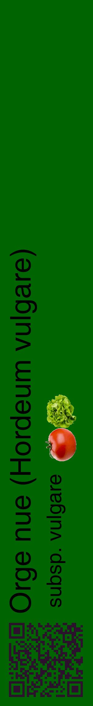 Étiquette de : Hordeum vulgare subsp. vulgare - format c - style noire8_basiquehel avec qrcode et comestibilité simplifiée