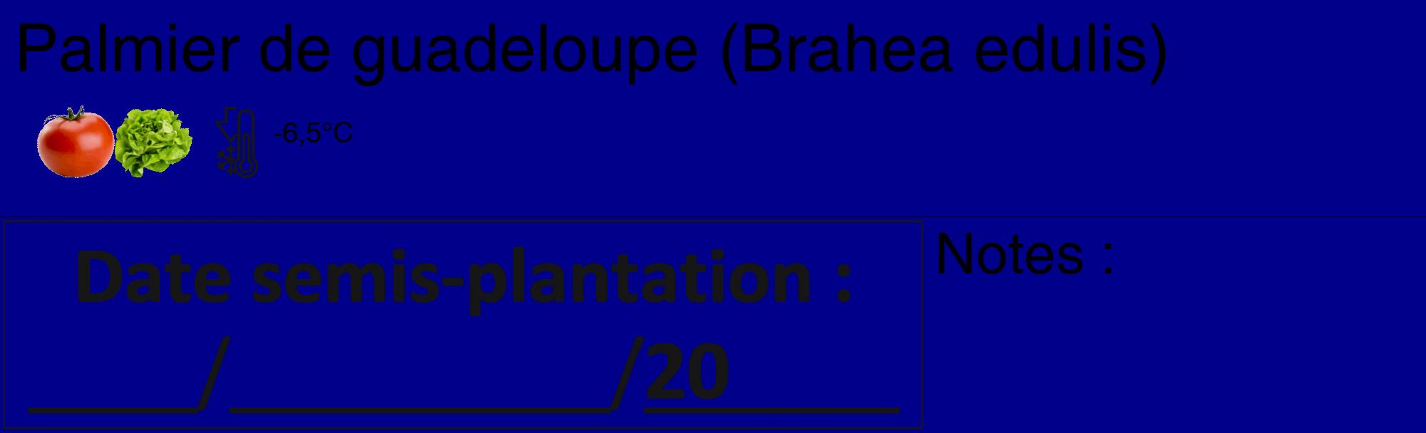 Étiquette de : Brahea edulis - format c - style noire7_basique_basiquehel avec comestibilité simplifiée
