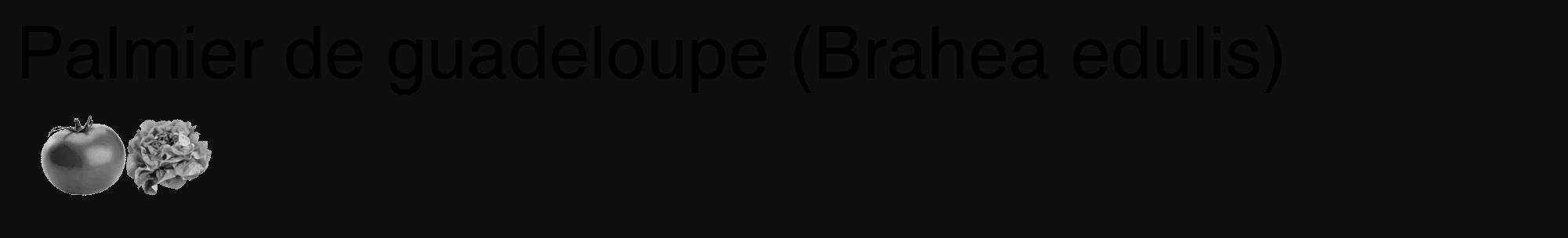 Étiquette de : Brahea edulis - format c - style noire7_basique_basiquehel avec comestibilité simplifiée