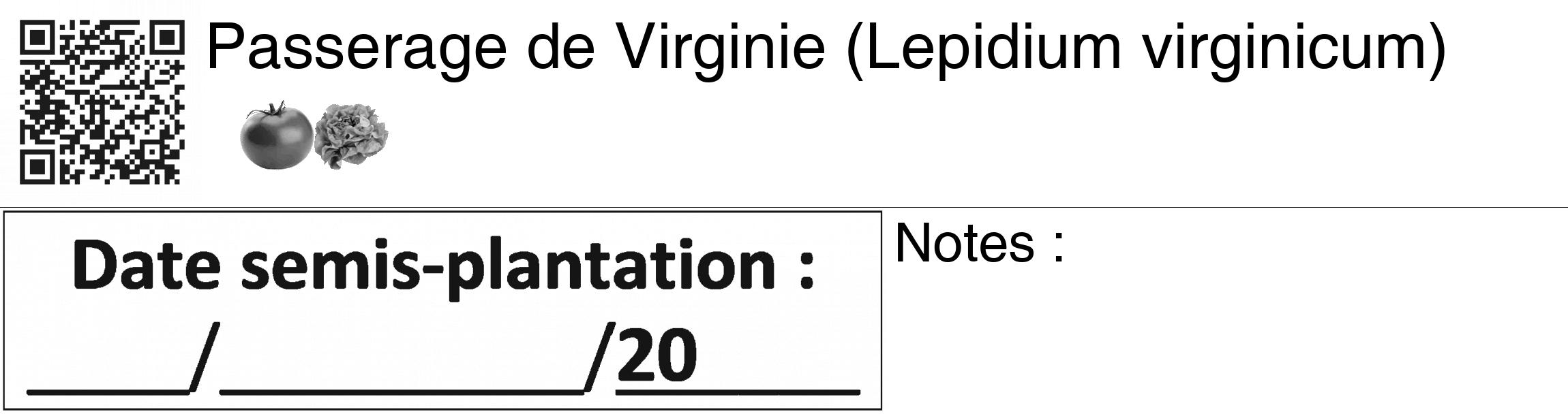 Étiquette de : Lepidium virginicum - format c - style noire60_basiquegrrvhel avec qrcode et comestibilité simplifiée