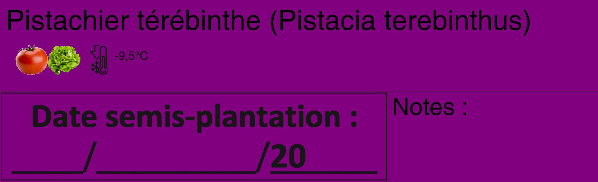Étiquette de : Pistacia terebinthus - format c - style noire46_basique_basiquehel avec comestibilité simplifiée