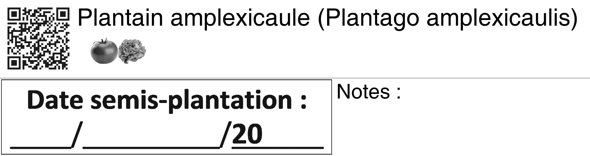 Étiquette de : Plantago amplexicaulis - format c - style noire60_basiquegrrvhel avec qrcode et comestibilité simplifiée