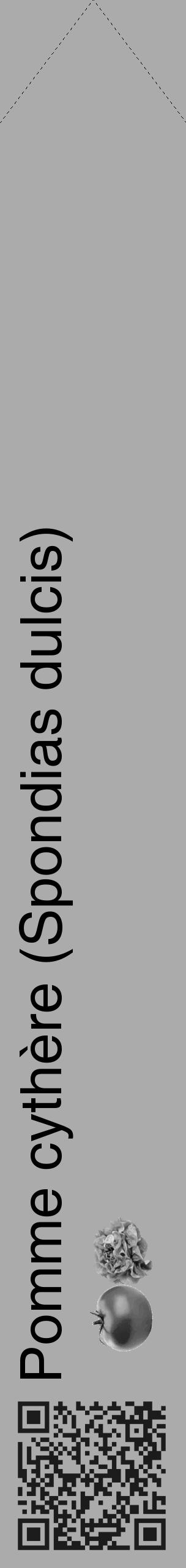 Étiquette de : Spondias dulcis - format c - style noire37_simple_simplehel avec qrcode et comestibilité simplifiée - position verticale
