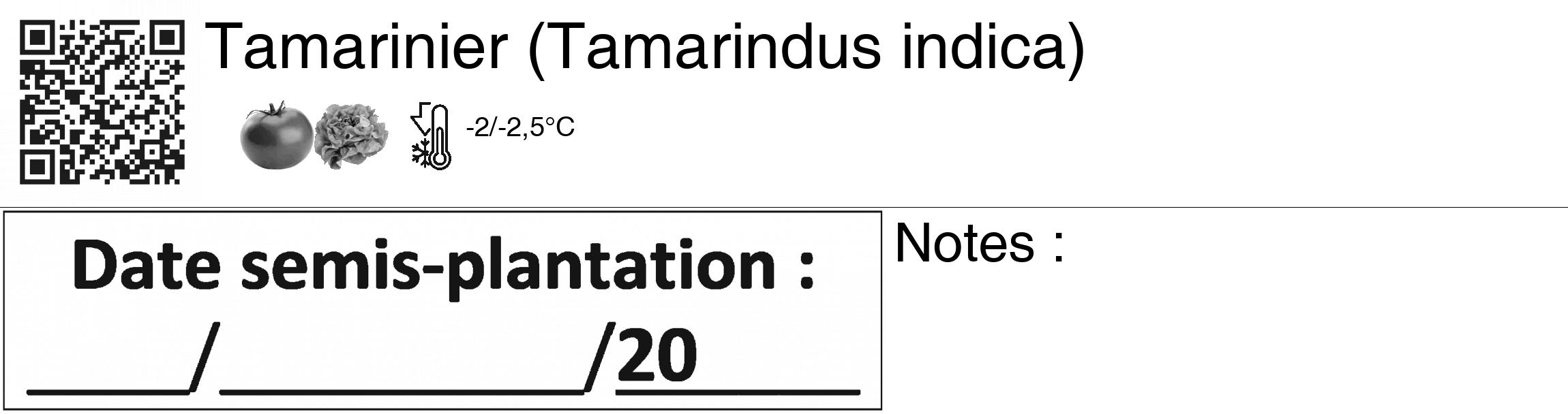 Étiquette de : Tamarindus indica - format c - style noire60_basiquegrrvhel avec qrcode et comestibilité simplifiée