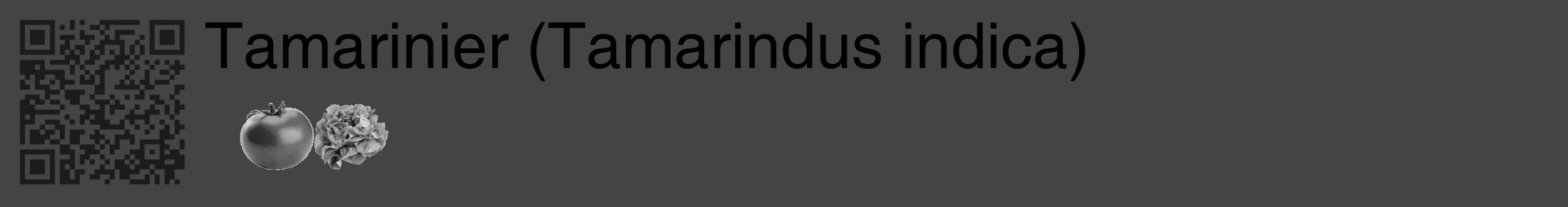 Étiquette de : Tamarindus indica - format c - style noire48_basique_basiquehel avec qrcode et comestibilité simplifiée