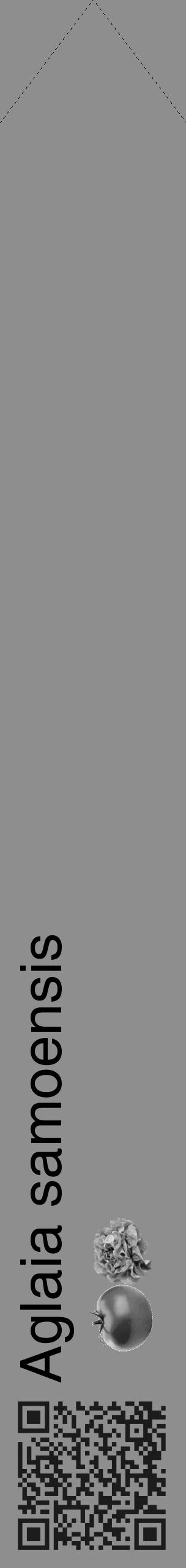 Étiquette de : Aglaia samoensis - format c - style noire25_simple_simplehel avec qrcode et comestibilité simplifiée - position verticale