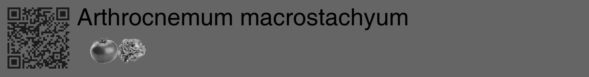 Étiquette de : Arthrocnemum macrostachyum - format c - style noire32_basique_basiquehel avec qrcode et comestibilité simplifiée