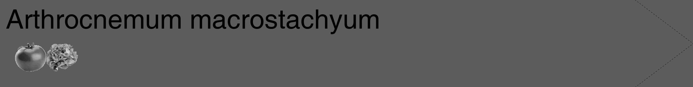 Étiquette de : Arthrocnemum macrostachyum - format c - style noire49_simple_simplehel avec comestibilité simplifiée