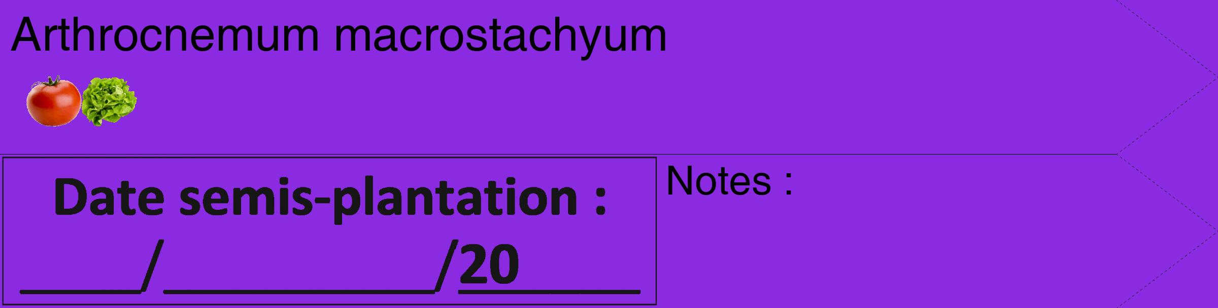 Étiquette de : Arthrocnemum macrostachyum - format c - style noire49_simple_simplehel avec comestibilité simplifiée
