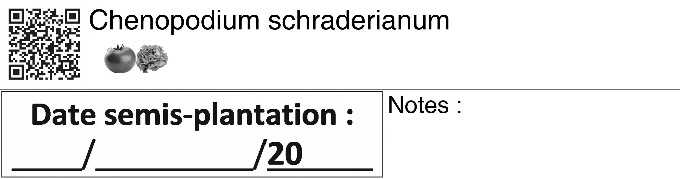 Étiquette de : Chenopodium schraderianum - format c - style noire60_basiquegrrvhel avec qrcode et comestibilité simplifiée