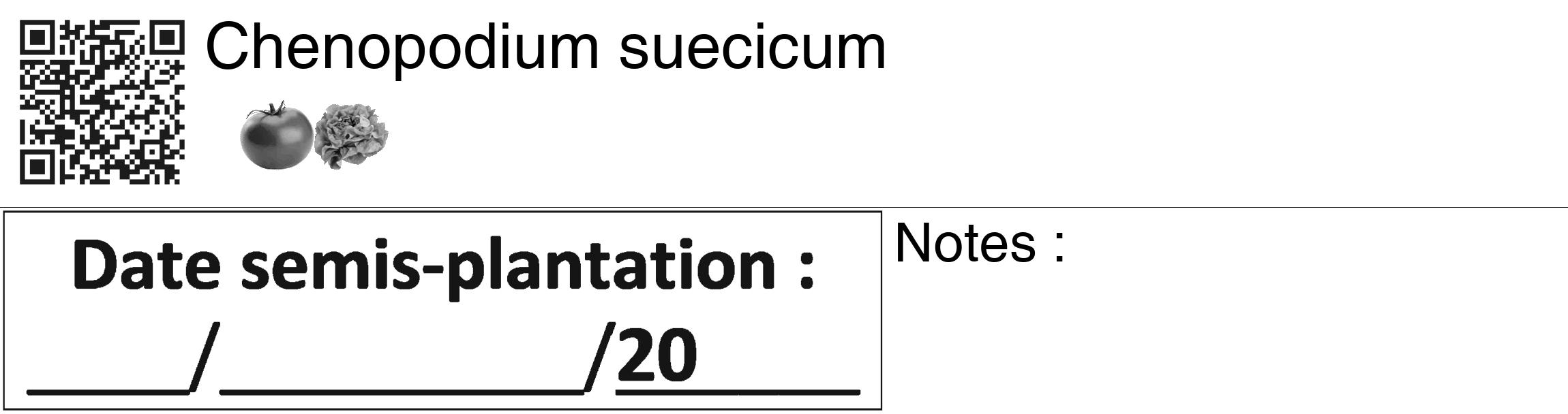 Étiquette de : Chenopodium suecicum - format c - style noire60_basiquegrrvhel avec qrcode et comestibilité simplifiée