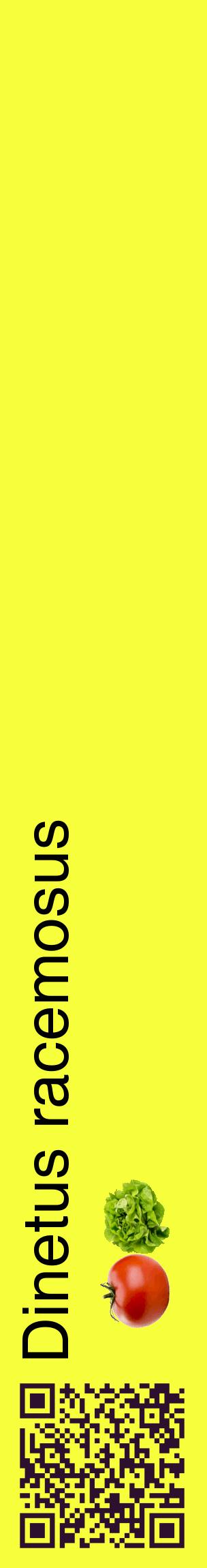 Étiquette de : Dinetus racemosus - format c - style noire18_basiquehel avec qrcode et comestibilité simplifiée