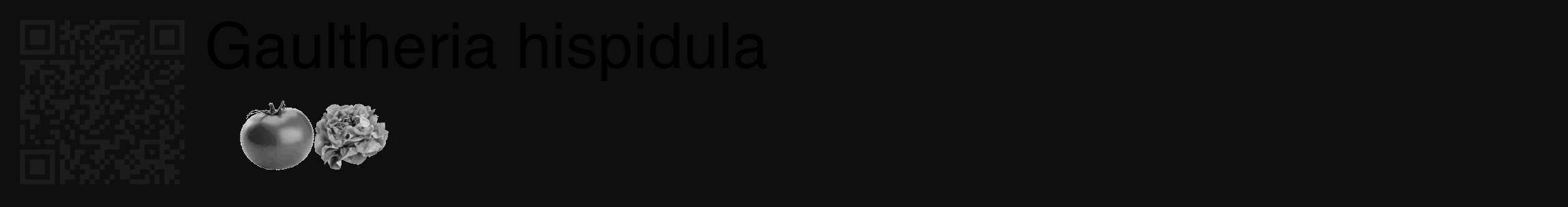 Étiquette de : Gaultheria hispidula - format c - style noire7_basique_basiquehel avec qrcode et comestibilité simplifiée