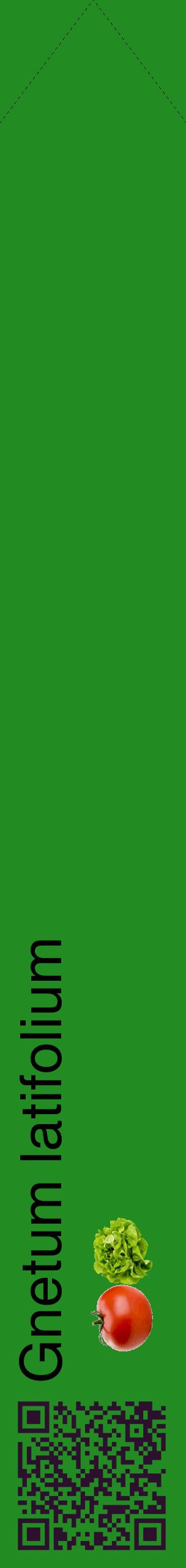 Étiquette de : Gnetum latifolium - format c - style noire10_simplehel avec qrcode et comestibilité simplifiée