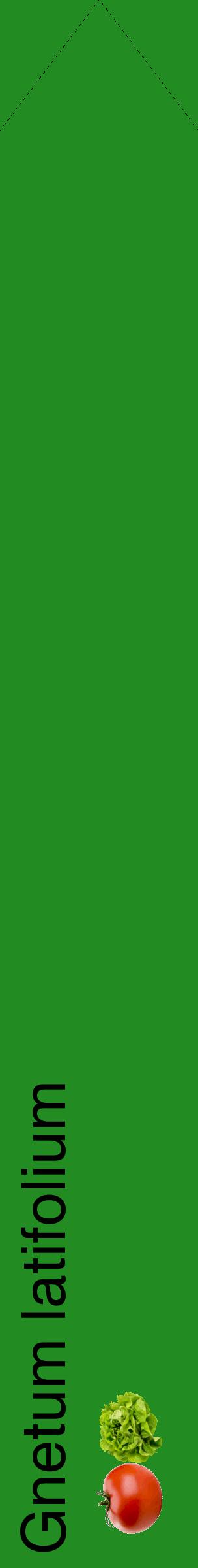 Étiquette de : Gnetum latifolium - format c - style noire10_simplehel avec comestibilité simplifiée