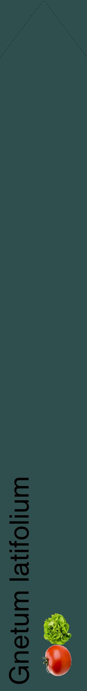Étiquette de : Gnetum latifolium - format c - style noire58_simplehel avec comestibilité simplifiée