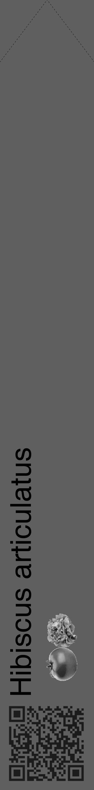 Étiquette de : Hibiscus articulatus - format c - style noire10_simple_simplehel avec qrcode et comestibilité simplifiée - position verticale