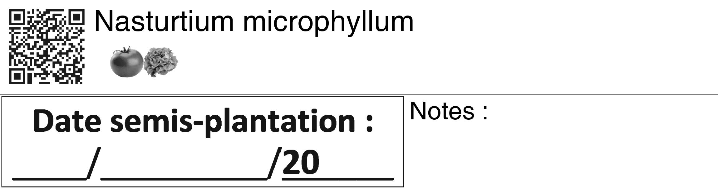 Étiquette de : Nasturtium microphyllum - format c - style noire60_basiquegrrvhel avec qrcode et comestibilité simplifiée