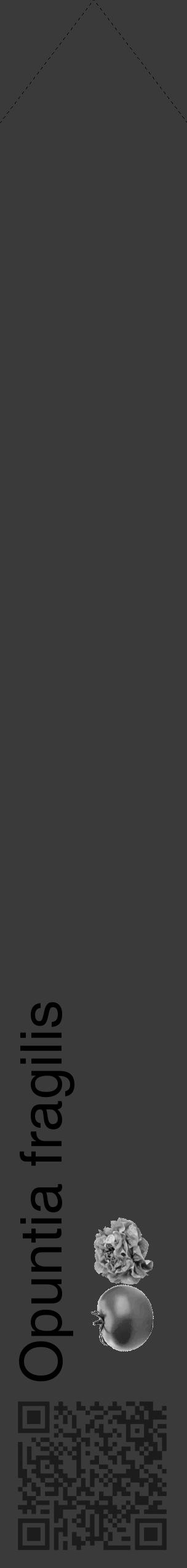 Étiquette de : Opuntia fragilis - format c - style noire8_simple_simplehel avec qrcode et comestibilité simplifiée - position verticale