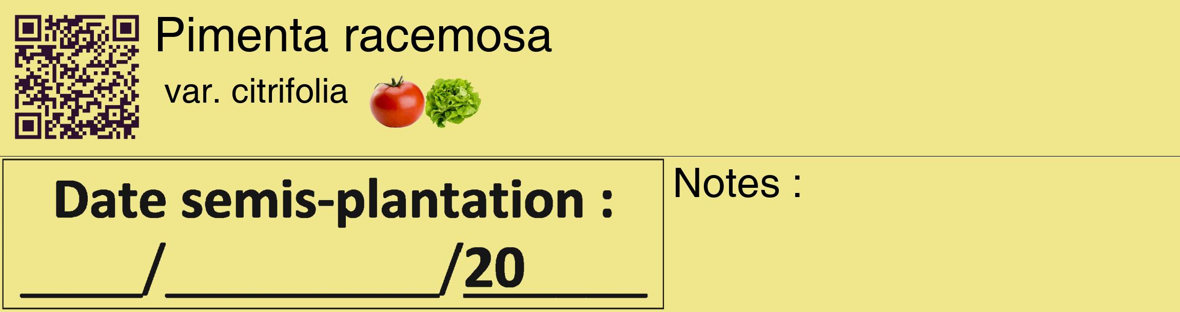 Étiquette de : Pimenta racemosa var. citrifolia - format c - style noire20_basique_basiquehel avec qrcode et comestibilité simplifiée