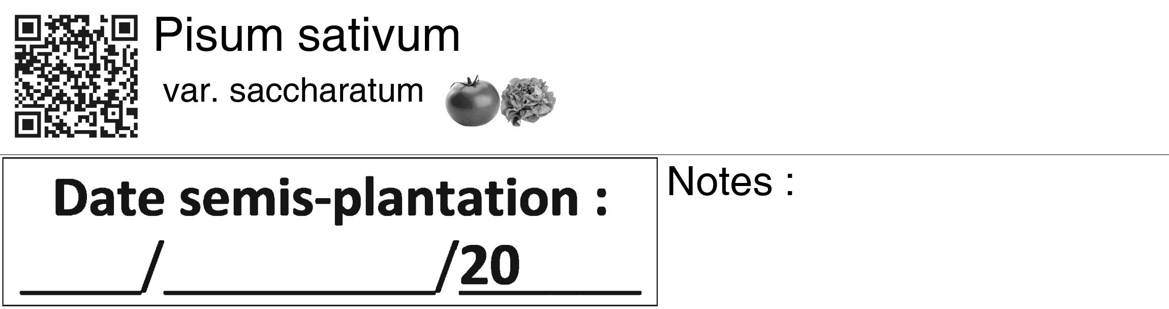 Étiquette de : Pisum sativum var. saccharatum - format c - style noire60_basiquegrrvhel avec qrcode et comestibilité simplifiée